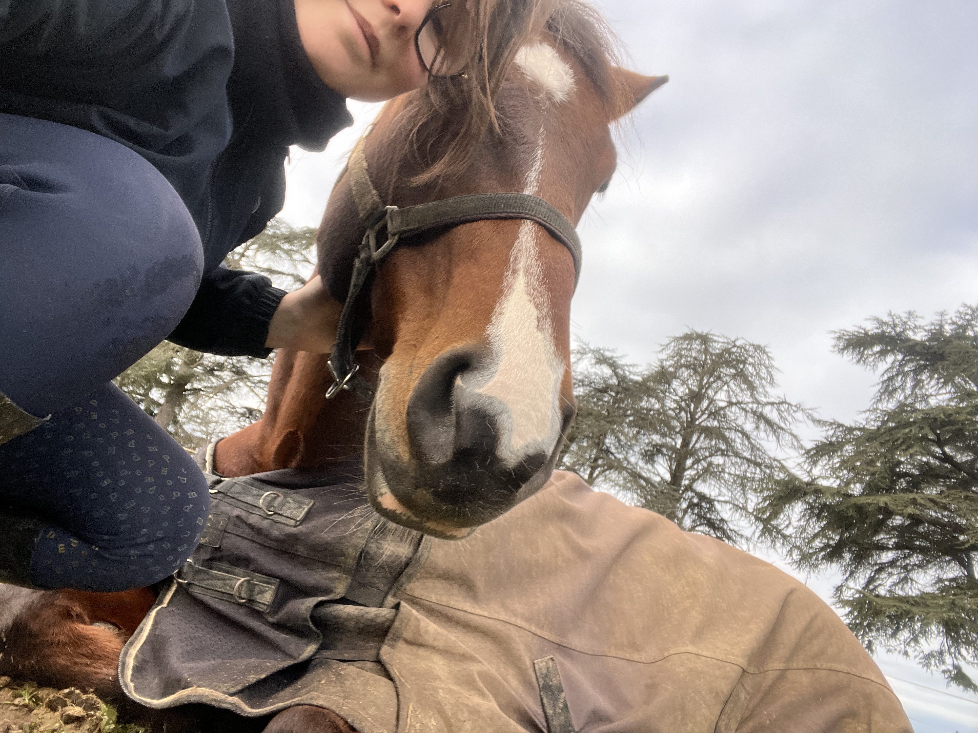 Équicoaching et équithérapie : comprendre la différence et découvrir comment les chevaux peuvent nous aider à évoluer 🐴
